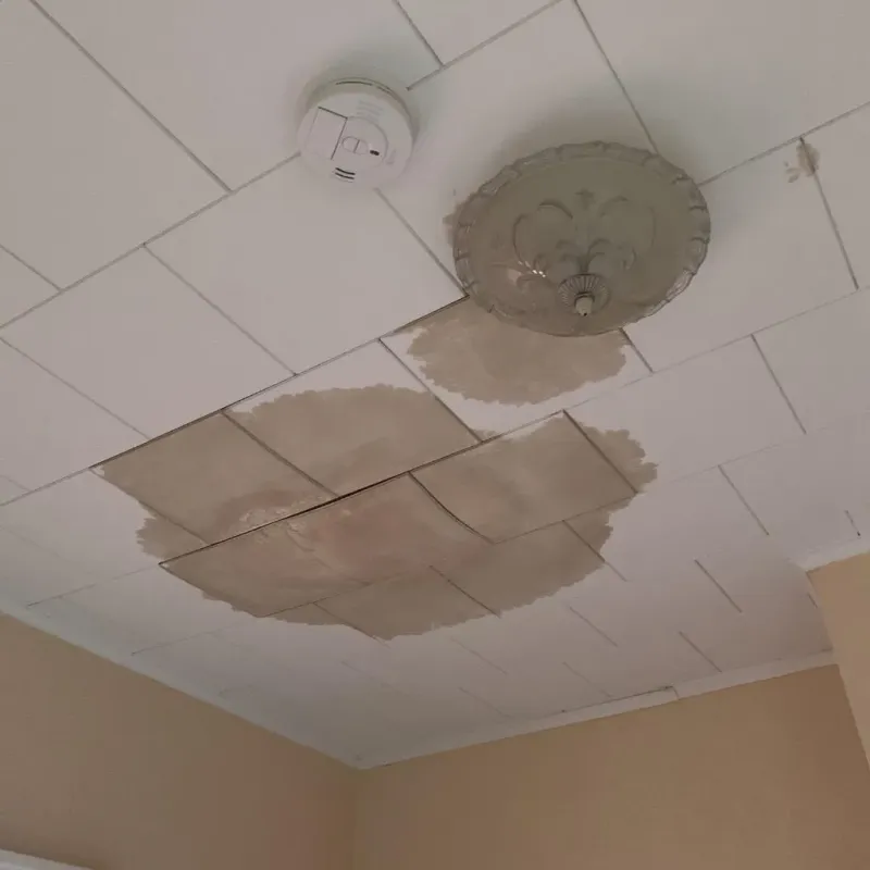Ceiling Water Damage Repair in Salem, VA