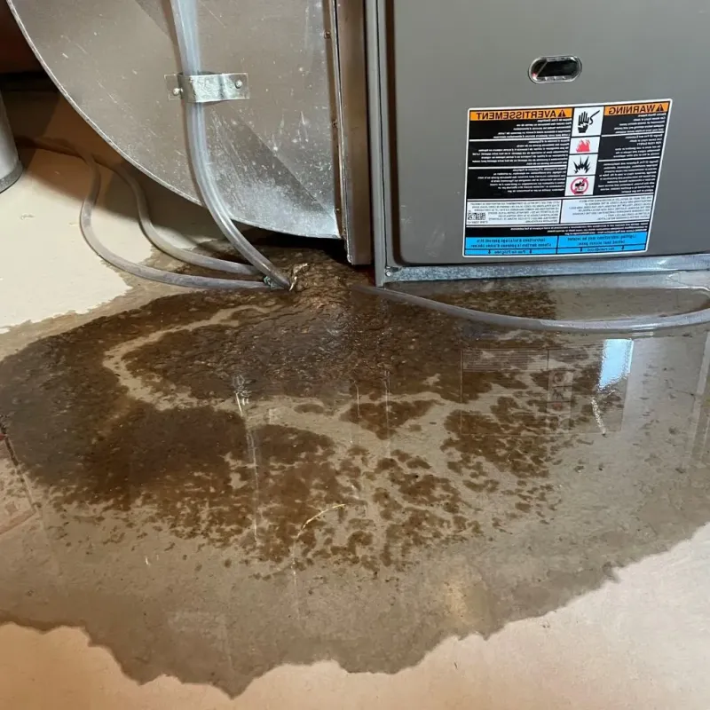 Pipe Burst and Leak Restoration in Salem, VA