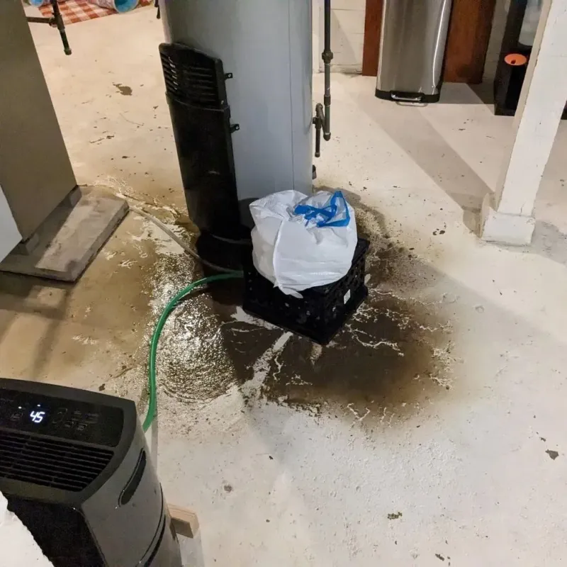 Sewage Backup Cleanup Service in Salem, VA